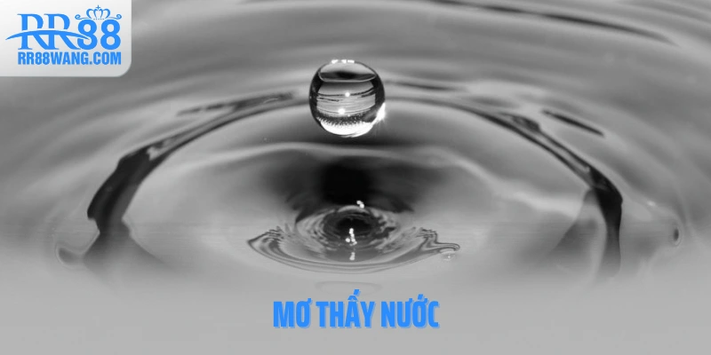 Ảnh đại diện mơ thấy nước